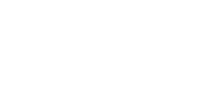 Lay Dynamics logo